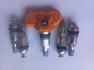 WhatsApp-Image-2022-08-05-at-10.24.21-2-e1659688316993-jpeg.webp Valva pentru senzor TPMS